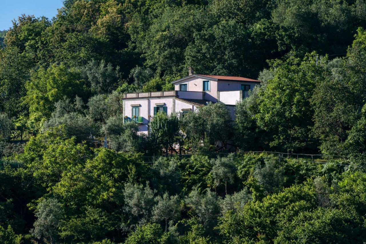 Il Casale Sorrento Hotell Eksteriør bilde