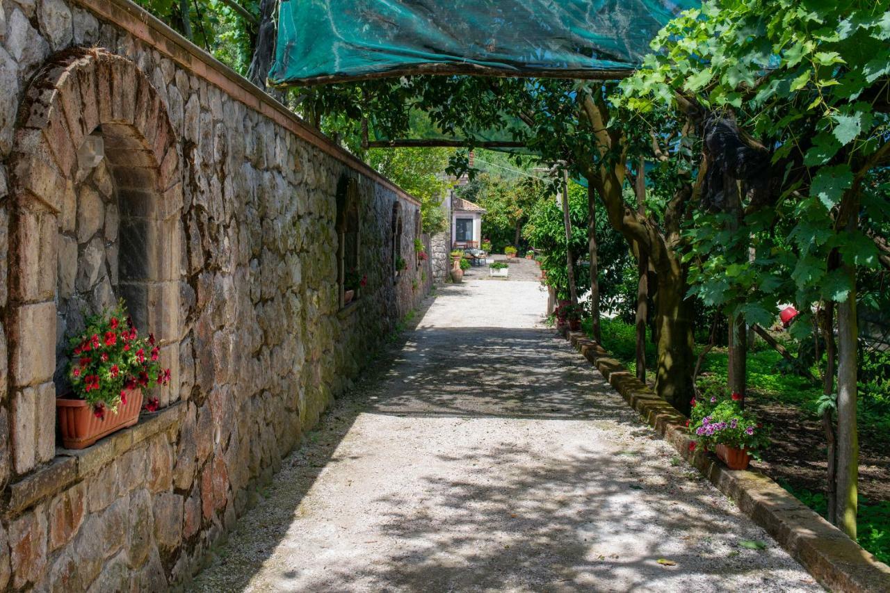 Il Casale Sorrento Hotell Eksteriør bilde